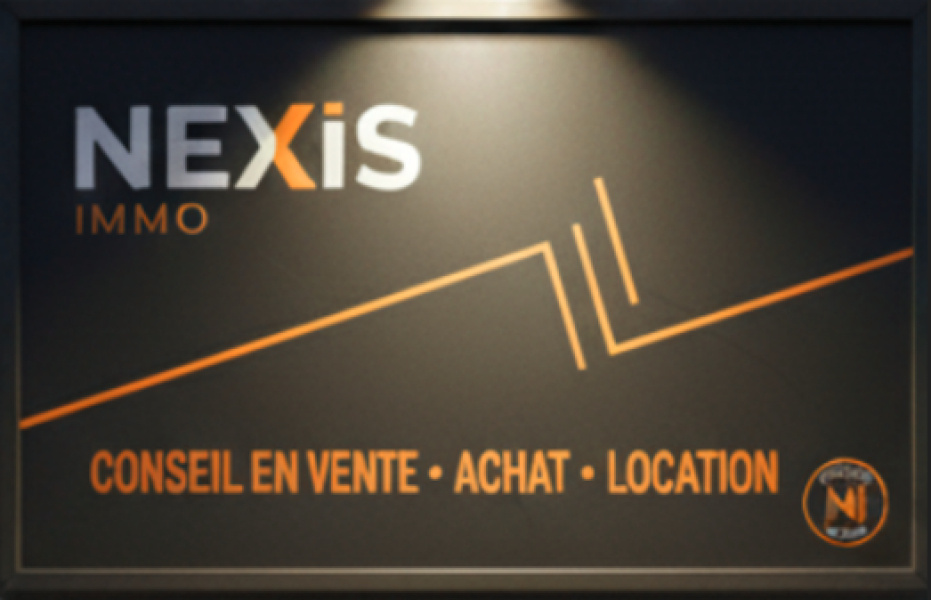 Logo Nexis Immo